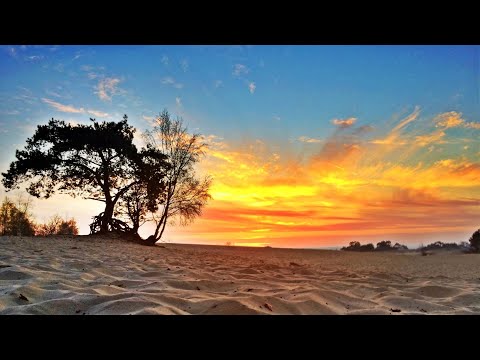 BuitenGewoon 26 juli 2019 - Terugblik 5