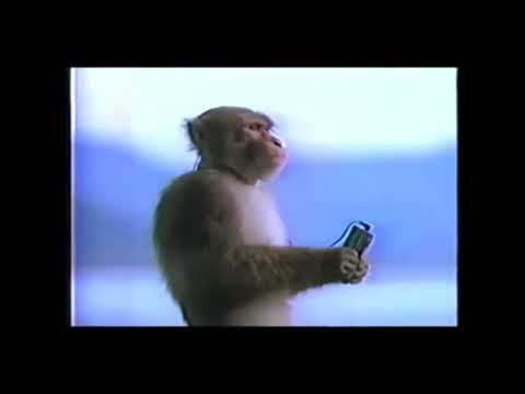 How I Feel When I Listen To WINDIR