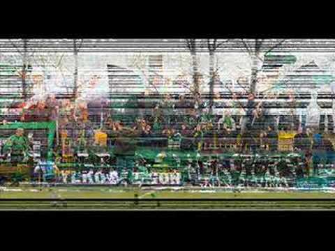 Prezentacja Pogoń Staszów