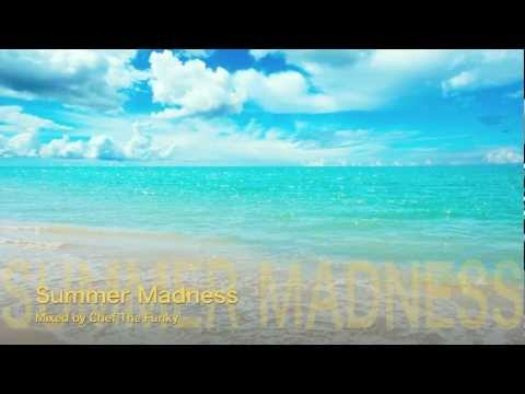DJ Chef the Funky - Summer Madness (MixCD TRAILER)