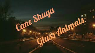 Cane Shuga-Glass Animals (Lyrics)