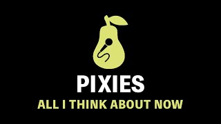 Pixies - All I Think About Now (Karaoke)