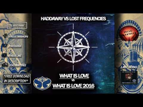 Haddaway vs Lost Frequencies - What Is Love (Lost Frequencies Tomorrowland 2017 Mashup)