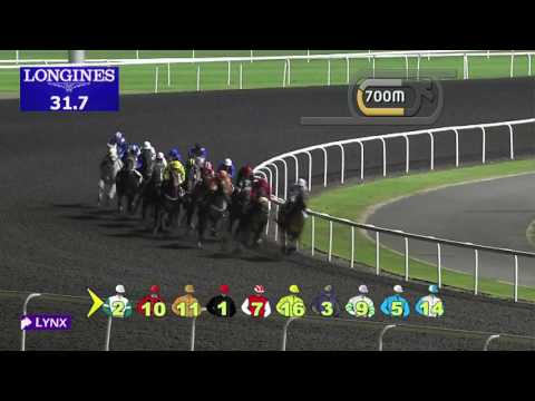 Race 5 - Al Shindagha Sprint Sponsored By Gulf News