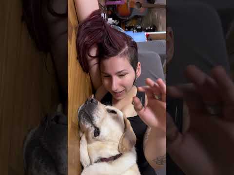 Mi regali tanti altri anni insieme? ￼#doglove#shortvideo