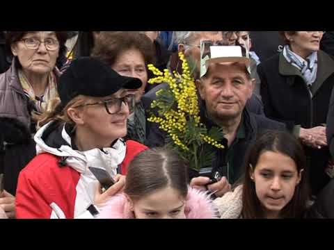 BUBAMARA - 50  DANI MIMOZE  FEBRUAR 2019