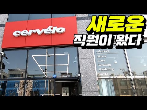 매장에 새로운 직원이 왔다..