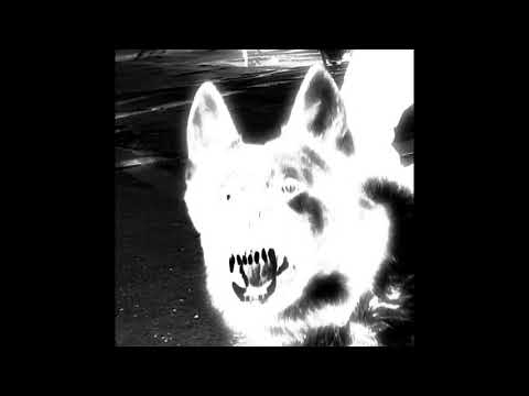 (free) electro punk x crystal castles x ho99o9 type beat | “fangs” (prod. sxzu)