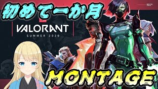 【VALORANT】初めて一か月の集大成
