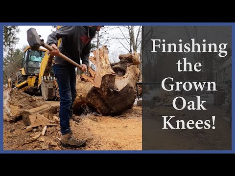 Acorn to Arabella - Journey of a Wooden Boat - Episode 97: Finishing the Grown Oak Knees