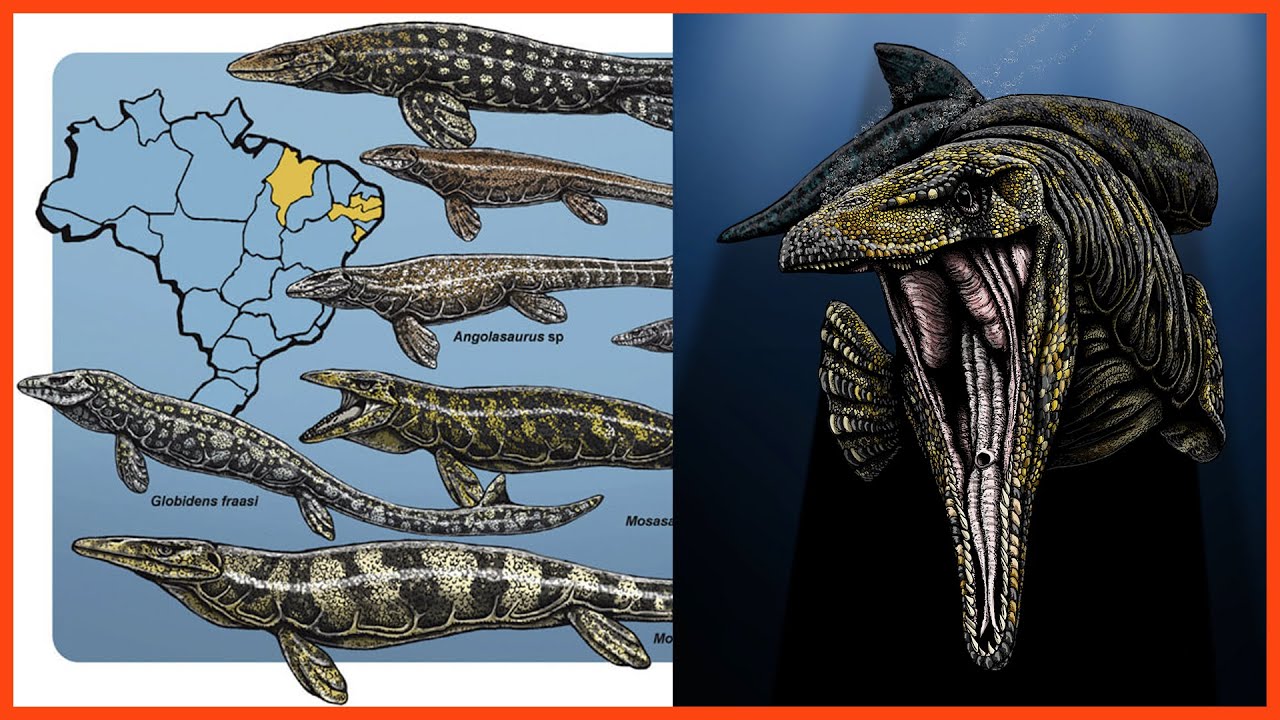 TUDO sobre os MOSASSAUROS: Evolução, Diversidade, Biologia e Fósseis Brasileiros!