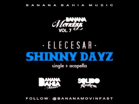 ELECESAR - SHINNY DAYZ