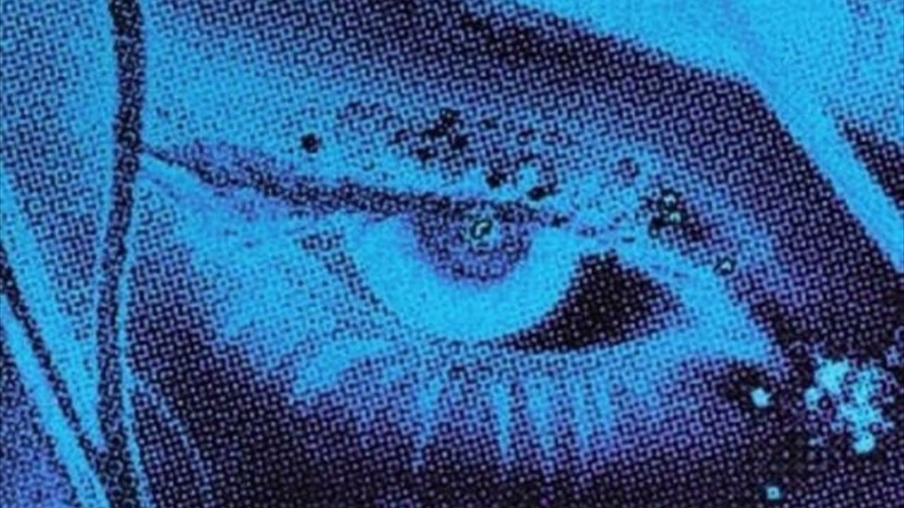 bodypartz- luci4 (triple layered)