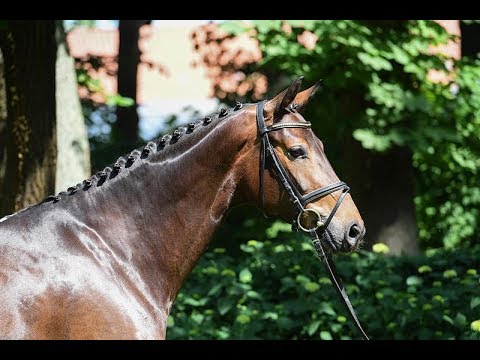 5 6 Danone Weltgeist Singular Joter