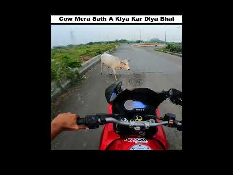 Cow mera sath a kiya kar diya bhai 😭🥲😭 #rider #motovlog #viral #shorts #foryou #ktm #zx10r #race
