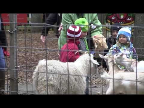 Apple Orchard Commercial