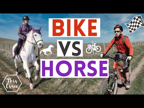 Bike VS Horse! Equilab Challenge AD | This Esme