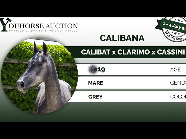 Calibana