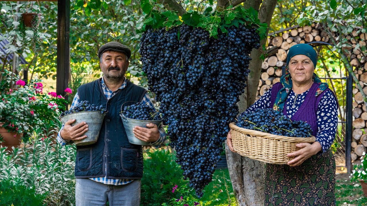 Discover How the REAL Grape Syrup Preparation in Azerbaijan!