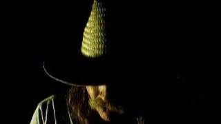 On the Campaign Trail