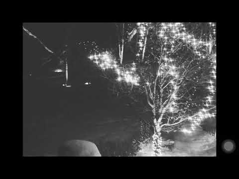 holiday party 1980 - Mr.Woox