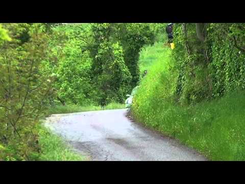 Gianesini / Fomiatti - 12° Rally Benacus 2014