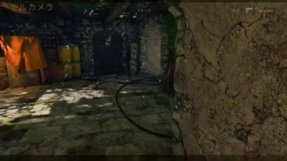 [COD:BO4]思うがままにわがままに