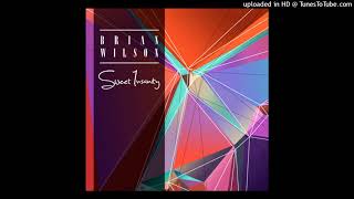 Brian Wilson - Smart Girls (HQ)