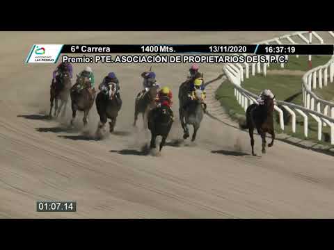 201113 c06 - PROTAGONICO - HIPODROMO LAS PIEDRAS