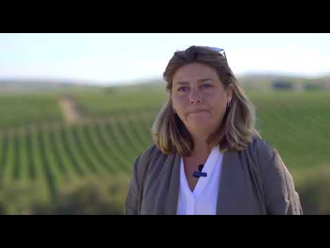 Producción de aceite - Molino de las Torres Premium Hojiblanca 500ml