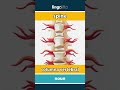 spine - columna vertebral video thumbnail