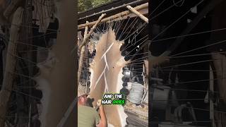 Download lagu How Leather is Made ❓️ mp3