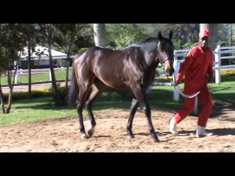 '10 Eligible Dancer - TGRS-II