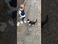 Very Funny watch till the end, Zane  Lewis Trouser fall down age 2