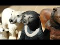 BEST Bear Figurines From Schleich Papo Mojo Bullyland Toymany My Collection