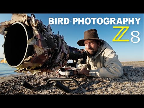 Bird Photography With Homemade Sled