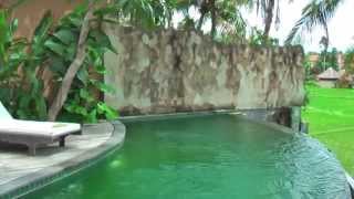 preview picture of video 'Motama villa for rent in Ubud (Bali) with private pool and view on the rice fields'