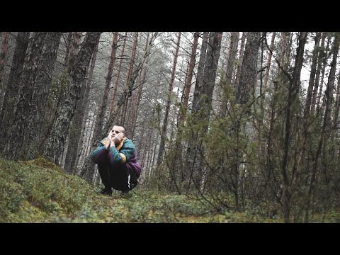 Niuronis - vakaras (dar ilgas)