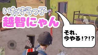 【PUBG MOBILE】決戦前でもいたずらは欠かせない