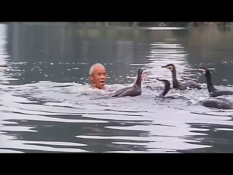 He dances for his cormorants - The Lords of the Animals