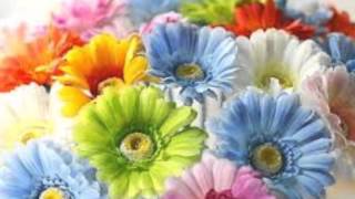 SHAKATAK - RELEASING THE FEELING