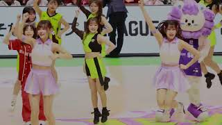 20241207 Musegirls レバンガ牛踊り　#musegirls #瑟七 #小映 #Joy #霖霖 #cheerleader  #台湾チア