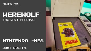 This is Werewolf The Last Warrior for the NES