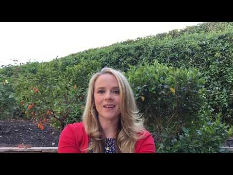 Concerto in One Movement by Lebedev with commentary