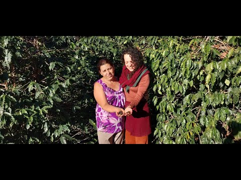 Regina, cooperativa femenina e café orgânico. Poço Fundo, Minas Gerais. Brasil.