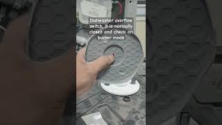 Dishwasher overflow switch