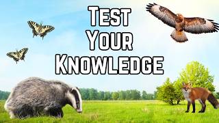 The Great Big Wildlife Quiz - how much do you know about UK Wildlife?