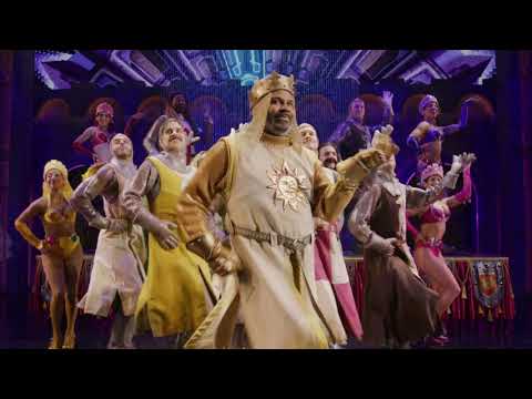 SPAMALOT the Musical on Broadway