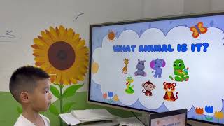 Video