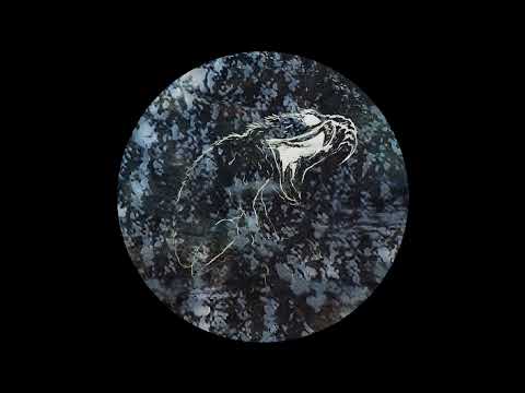 Neural Scape - Networks [GIFKIKKER008]